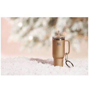 stanley keychain champagne shimmer